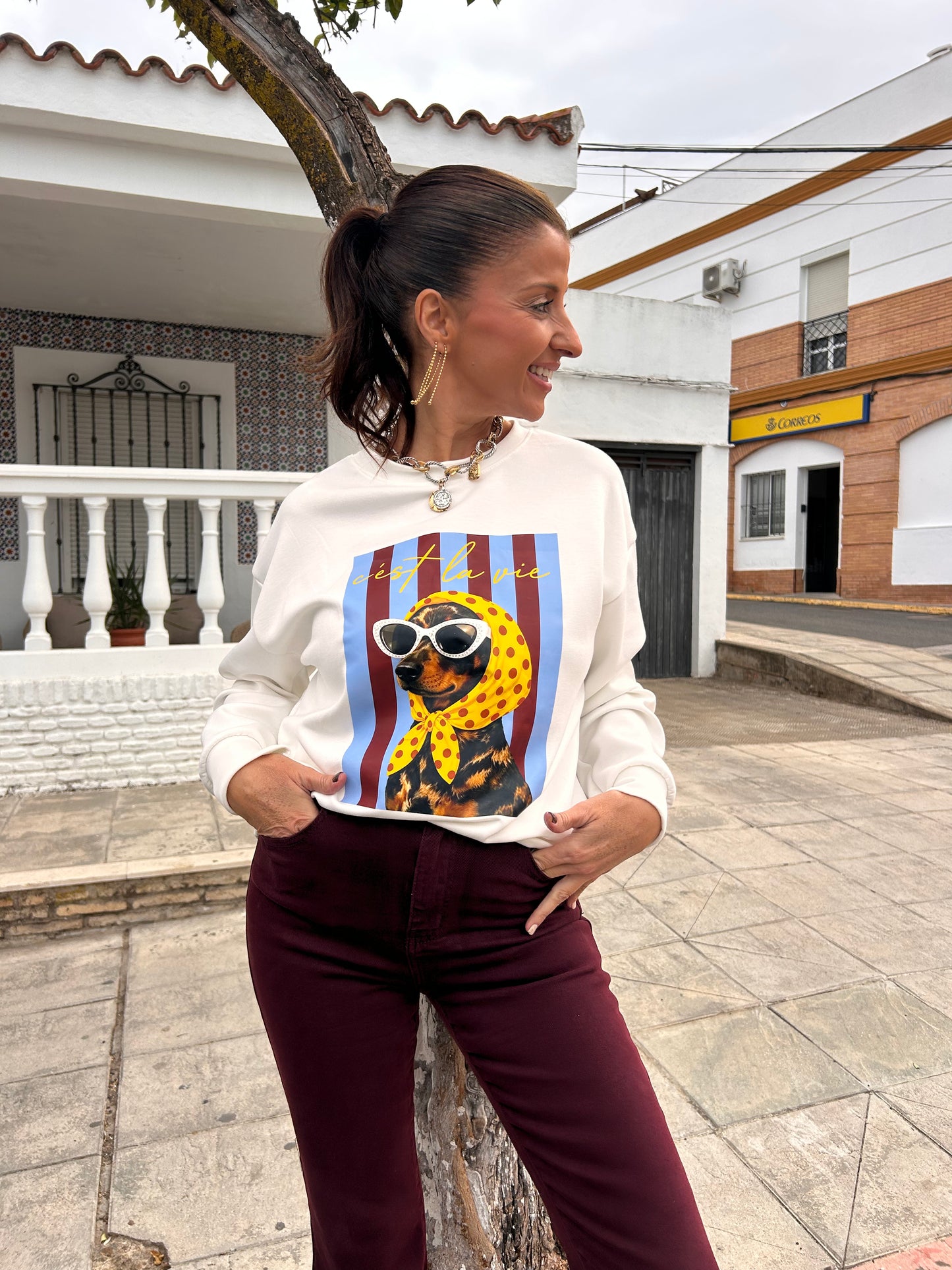 Sudadera perro cool